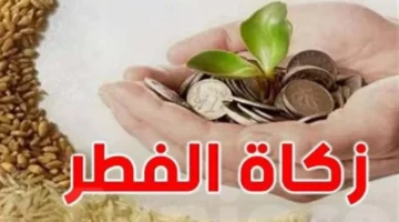 تحديد 35 جنيهًا حدًا أدنى لزكاة الفطر و30 جنيهًا لقيمة الفدية هذا العام